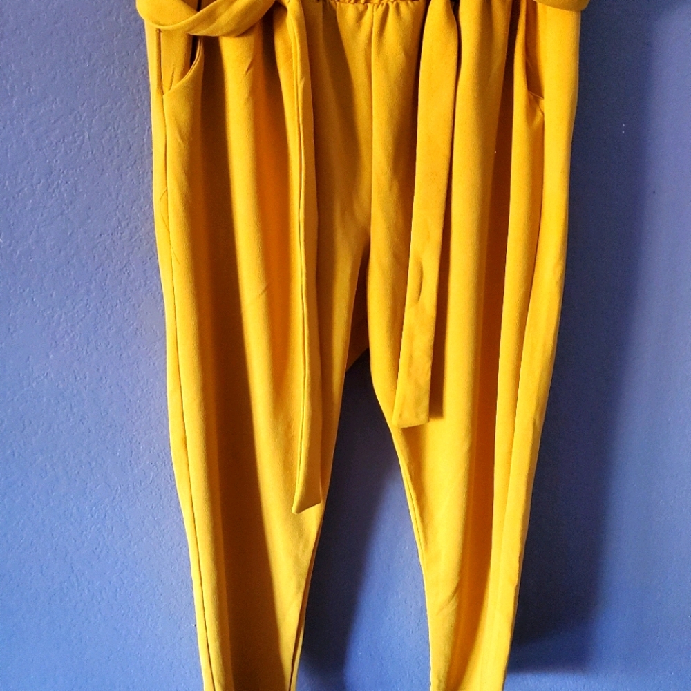 Ladies pants